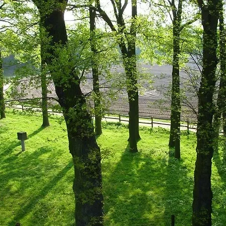 Haus Stallmeister Guest house 3*