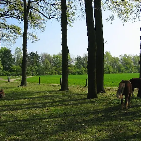 Konukevi Haus Stallmeister 3*