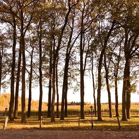 Konukevi Haus Stallmeister Lippstadt