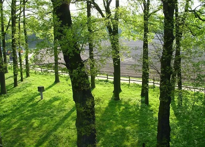 斯塔尔梅斯特酒店 招待所 3*