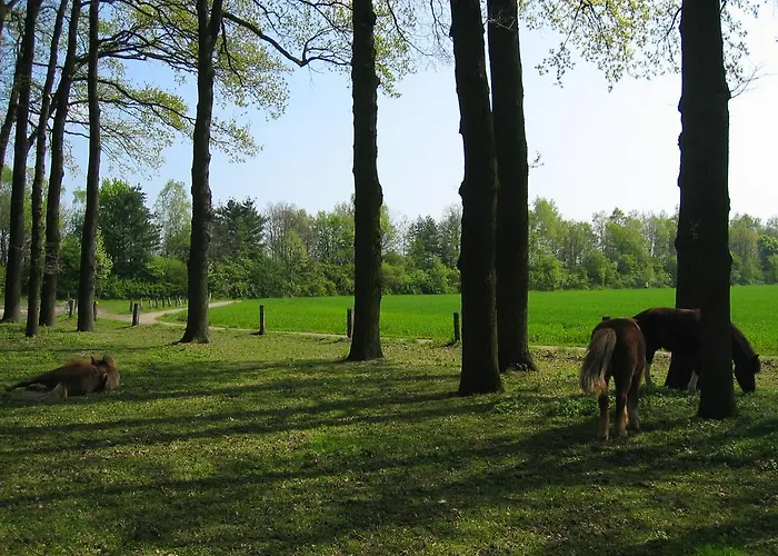 招待所 斯塔尔梅斯特酒店 3*