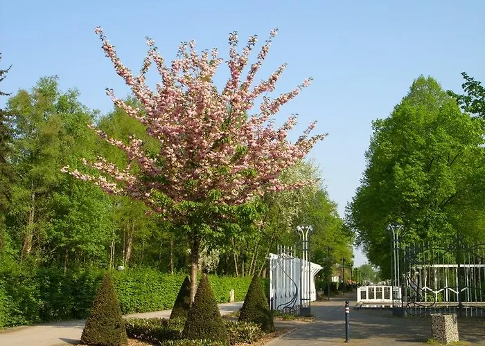 招待所 斯塔尔梅斯特酒店