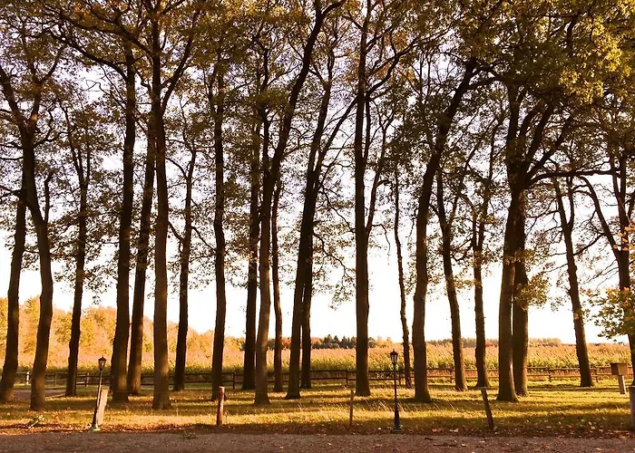 招待所 斯塔尔梅斯特酒店 利普施塔特